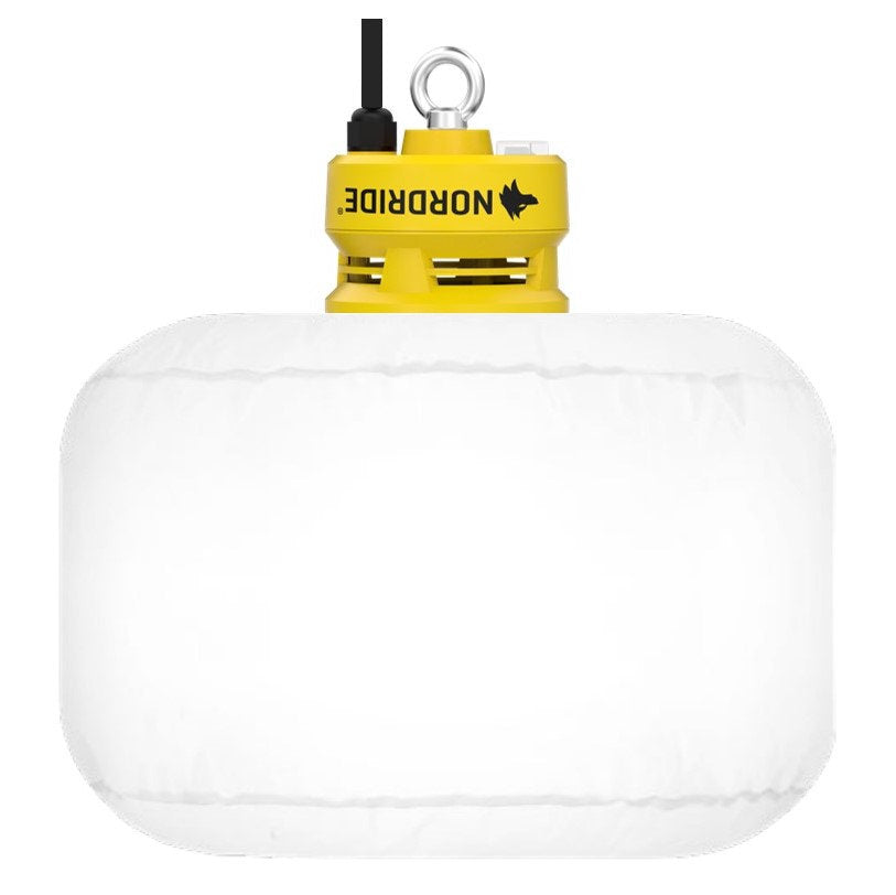 Leuchte, Lampe