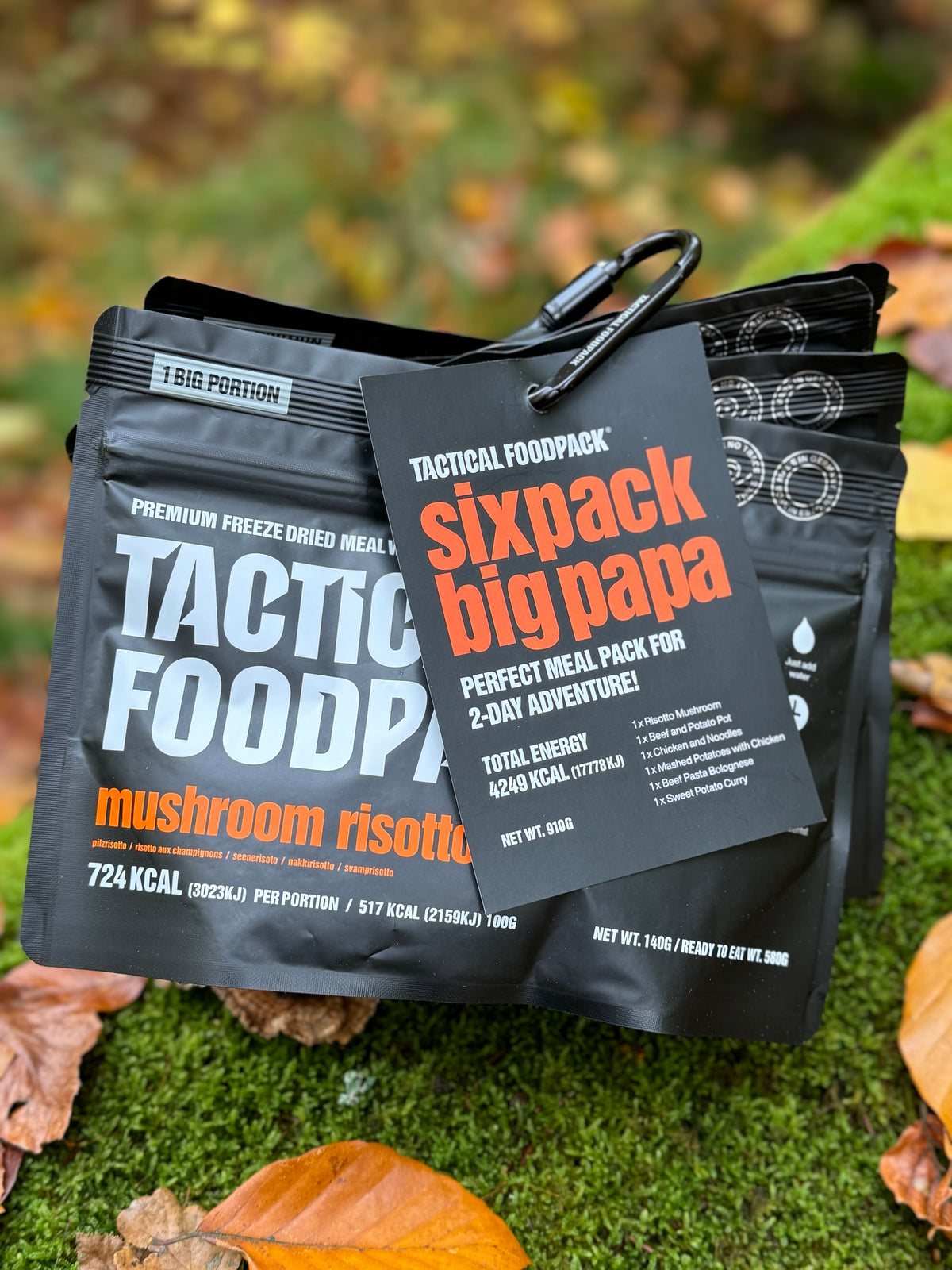 Sixpack BIG Papa (6 Mahlzeiten)