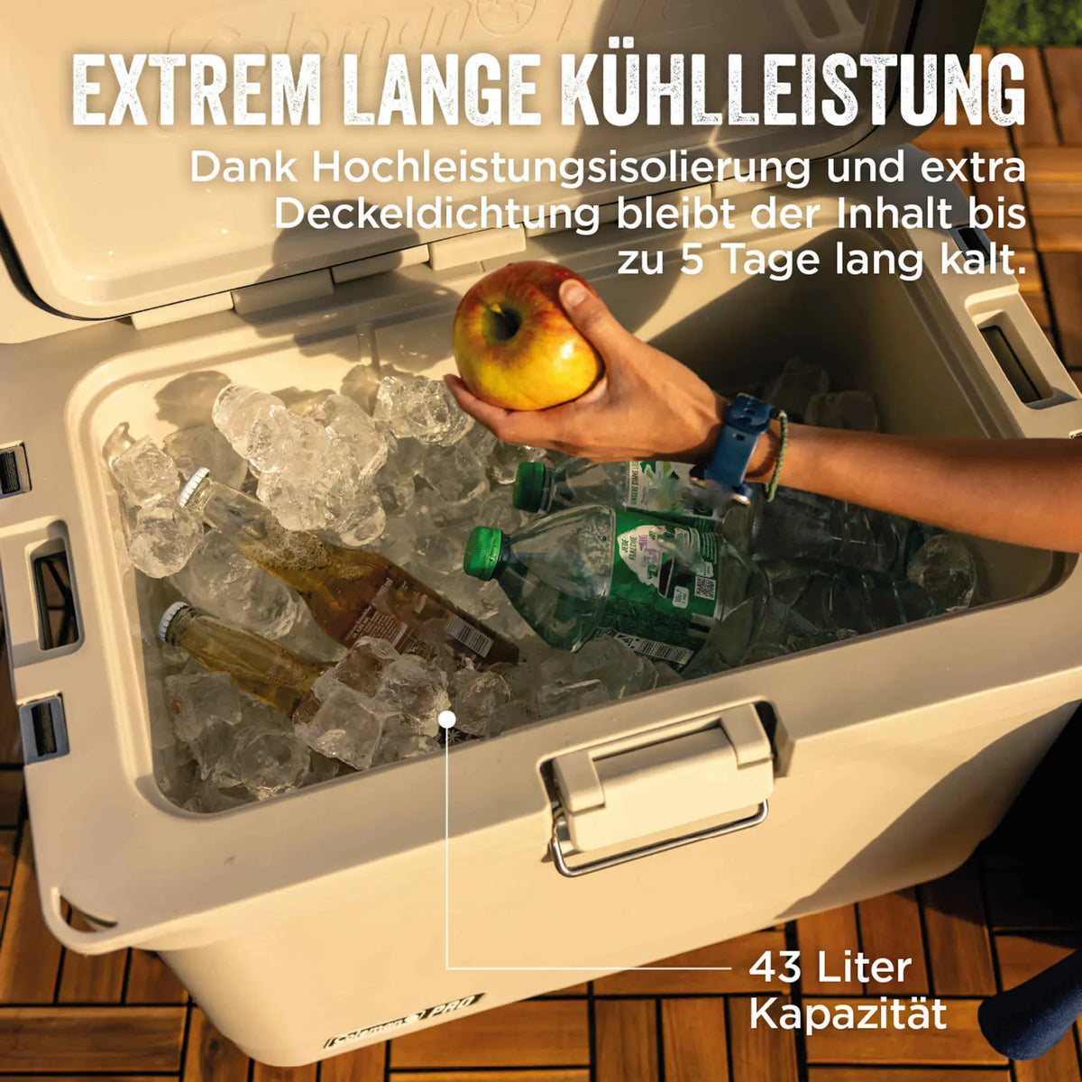 Coleman PRO Kühlbox 45QT (43 Liter)