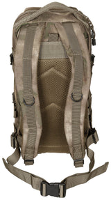 US Rucksack, Assault I, HDT-camo FG