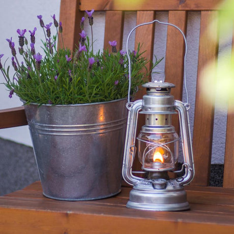 Lampe, Pflanze, Laterne