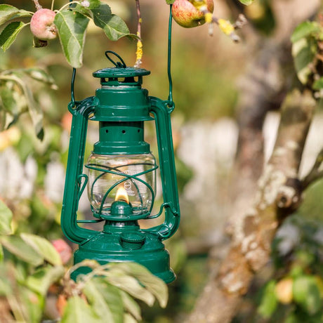 Lampe, Laterne, Birne, Pflanze, Produzieren