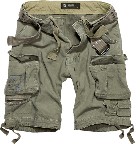Savage Vintage Shorts olive