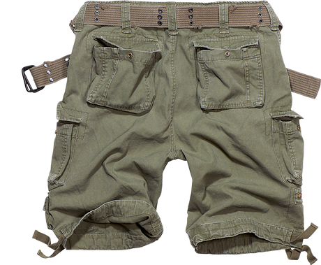 Savage Vintage Shorts olive