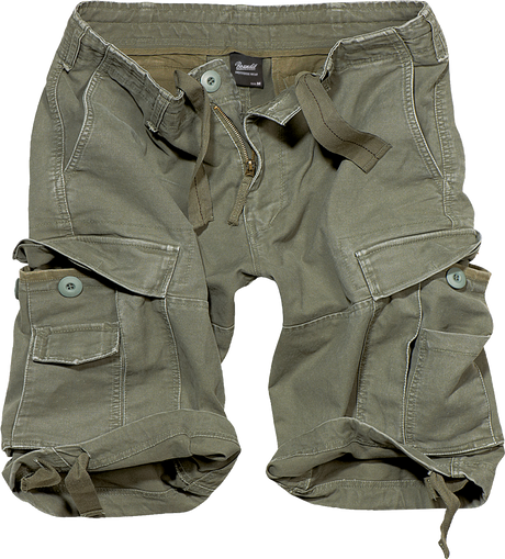 Vintage Shorts olive