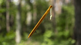 Heringe orange 18cm (4 Stück)