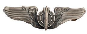Bronze, Zubehor, Schnalle, Insekt, Wirbellose