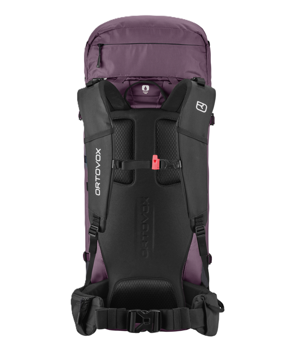 PEAK LIGHT 30 S, 30 Liter (wild berry)