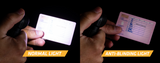 Multilampe M6xr defend (2000 Lumen)