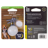 Tier, Hund, Säugetier, Haustier