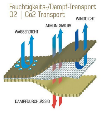 Geburtstagstorte, Sahne, Nachtisch, Essen, Flughafen
