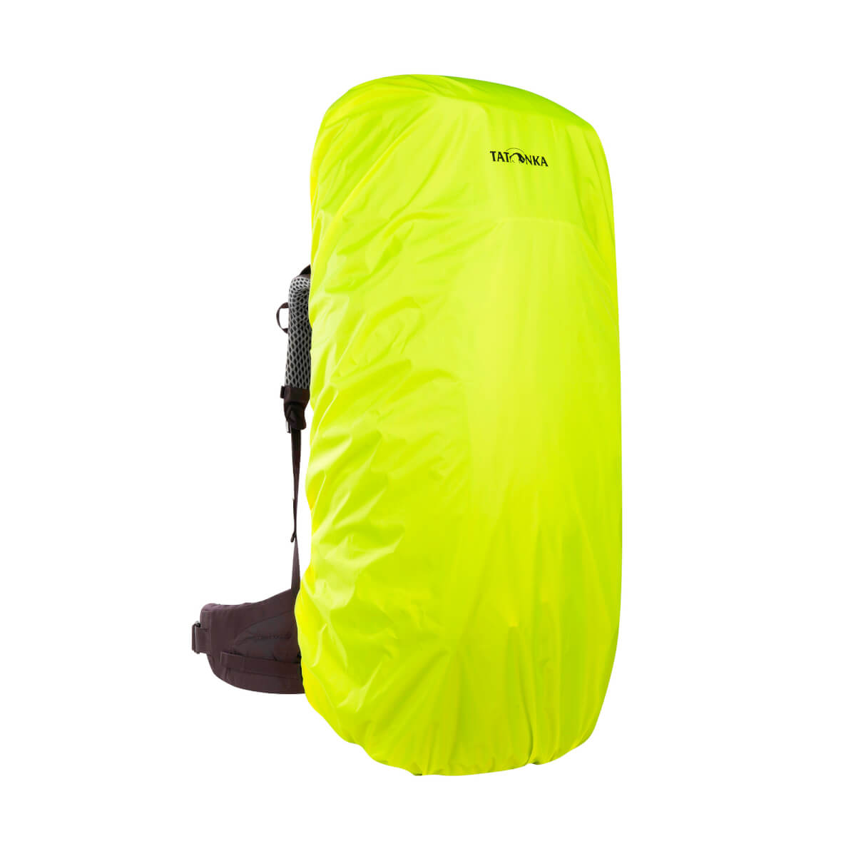 Yukon 60+10 Trekkingrucksack Women (sage green)