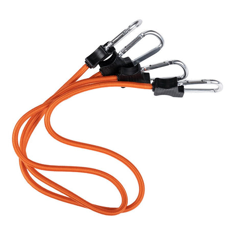 Klettergurt, Karabiner, Seil, Orangene Seil, Mehrfachkarabiner