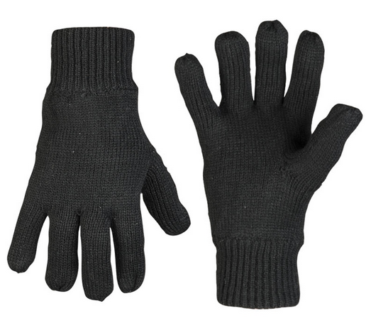 Fingerhandschuhe PAN Thinsulate™ Insulation (schwarz)