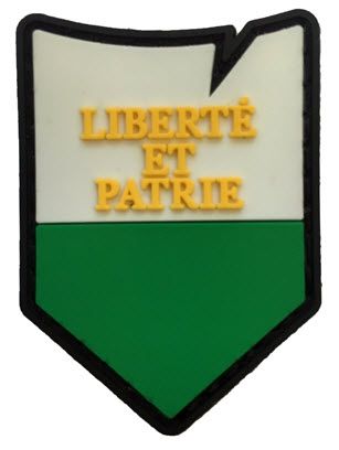 Klettabzeichen Waadt Tactical - color