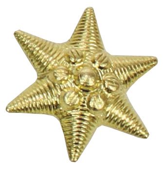 Ungar. Metallabzeichen, gold, &quot;Stern&quot;, neuw.